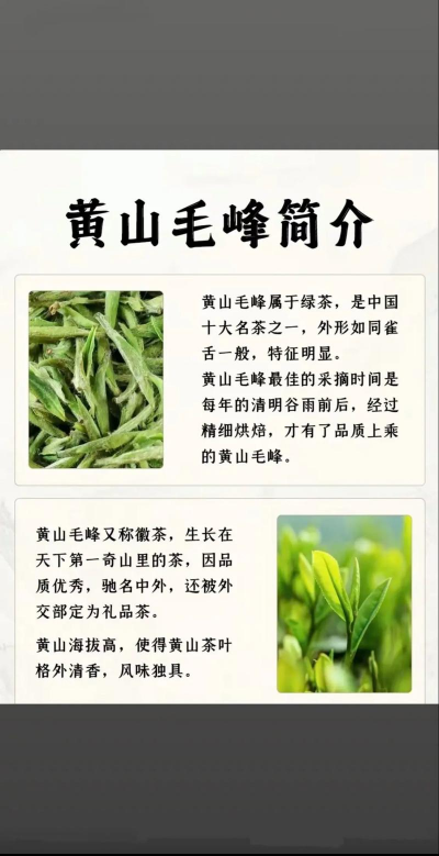 黄山毛峰的功效与作用