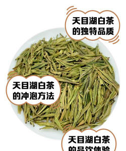 天目湖白茶属于什么茶