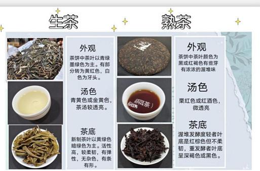 如何辨别茶叶的好坏与等级 鉴别茶叶的八大因素