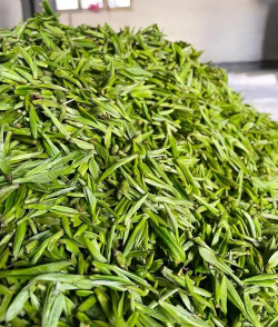 小众送妈妈的花有哪些花