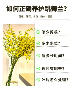 小众送妈妈的花有哪些花