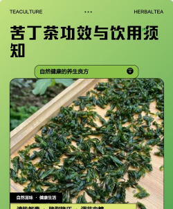 苦丁茶泡水喝的功效