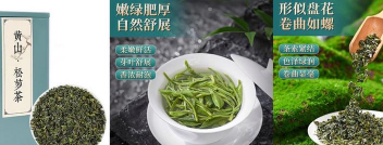 休宁松萝多少钱一斤