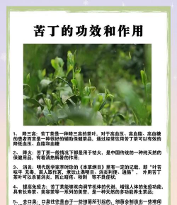 喝苦丁茶有什么好处