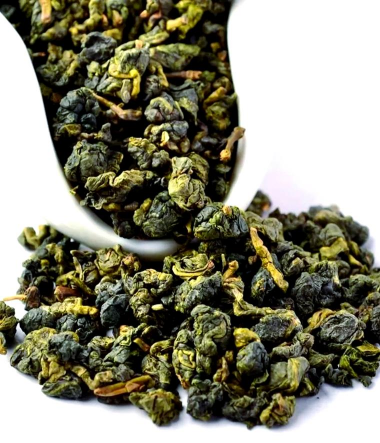 阿里山茶属于什么茶