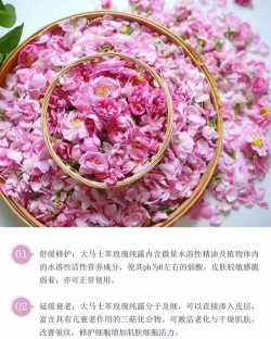 小众送妈妈的花有哪些花