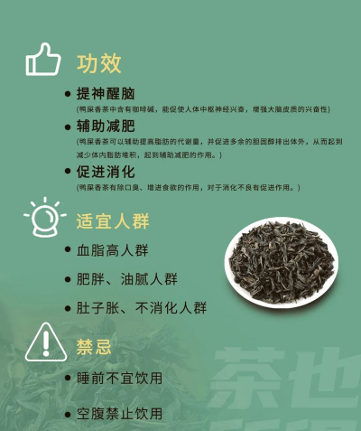 鸭屎香茶的功效与作用禁忌