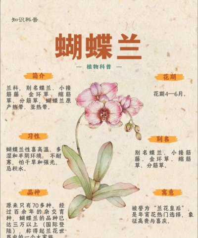 小众送妈妈的花有哪些花