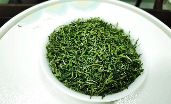 西山茶是什么茶