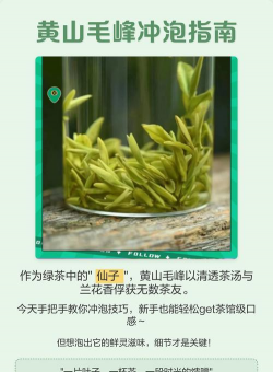 黄山毛峰怎么冲泡 黄山毛峰的冲泡步骤