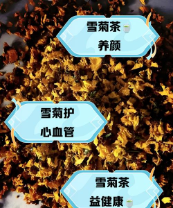 孕妇可以喝菊花茶吗 菊花茶对孕妇有哪些好处