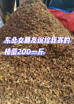 榛蘑多少钱一斤