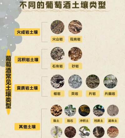 小众送妈妈的花有哪些花