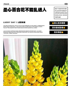 小众送妈妈的花有哪些花