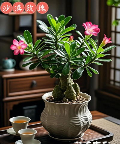 小众送妈妈的花有哪些花