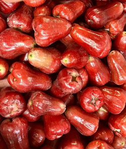 小众送妈妈的花有哪些花