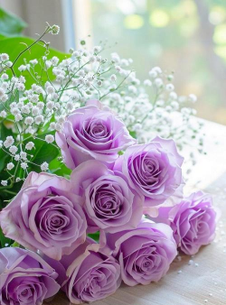 淡紫色玫瑰叫什么