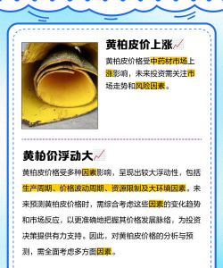 2024年黄柏皮多少钱一斤