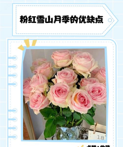 小众送妈妈的花有哪些花