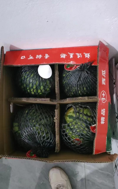 2024年麒麟瓜多少钱一斤