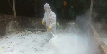 小众送妈妈的花有哪些花