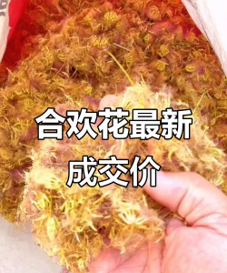 小众送妈妈的花有哪些花