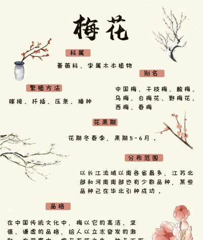 小众送妈妈的花有哪些花