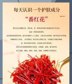 番红花的花语是什么