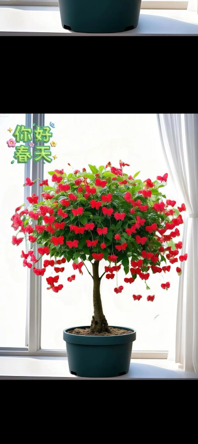 小众送妈妈的花有哪些花