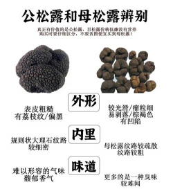 松露是怎么形成的