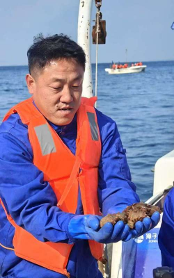 2024年野生海参多少钱一斤