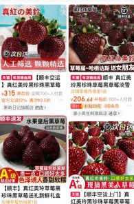 2024年草莓多少钱一斤