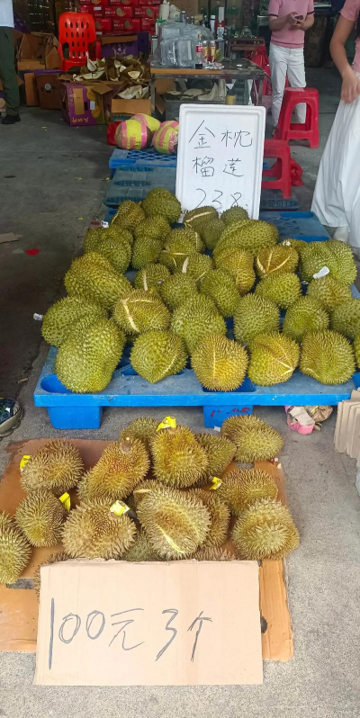 2024年广西榴莲一斤多少钱