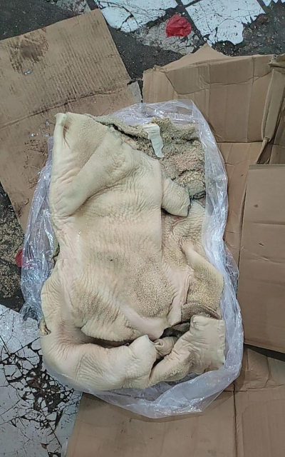 小众送妈妈的花有哪些花