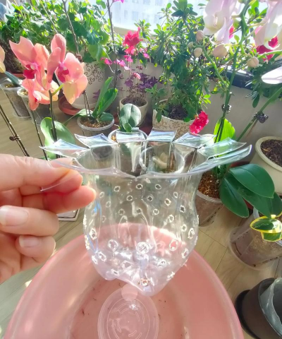 小众送妈妈的花有哪些花