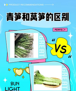 莴笋和青笋是一种菜吗