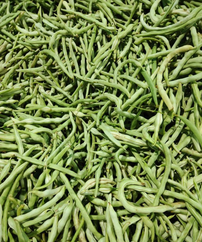 小众送妈妈的花有哪些花