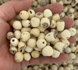 小众送妈妈的花有哪些花