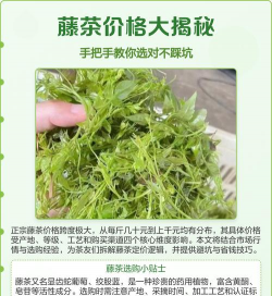 2024年藤茶多少钱一斤