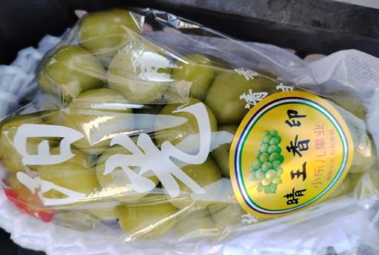 小众送妈妈的花有哪些花