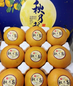 2024年秋月梨多少钱一斤