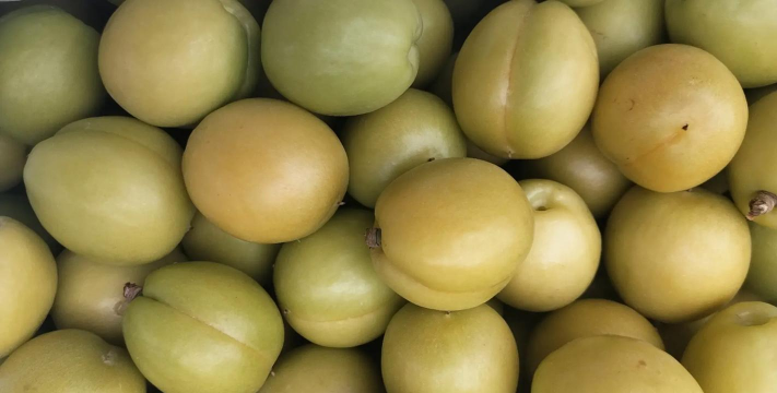 小众送妈妈的花有哪些花