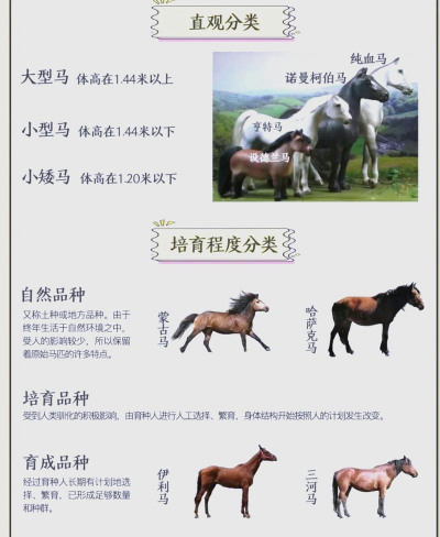 马有什么生活习性