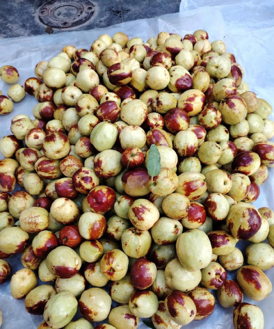 小众送妈妈的花有哪些花