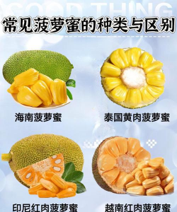 哪个品种的菠萝蜜最好