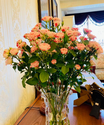 小众送妈妈的花有哪些花