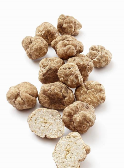 小众送妈妈的花有哪些花