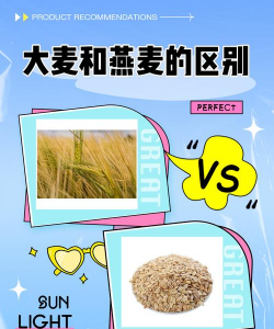 大麦和燕麦的区别