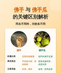 佛手和佛手瓜的区别