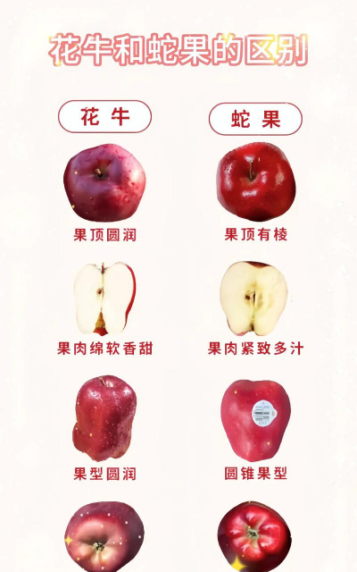 蛇果与花牛的区别